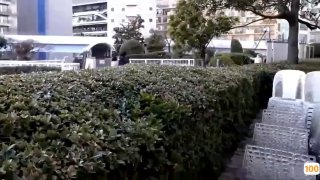 香港成人免弗视频- 高清在线观看